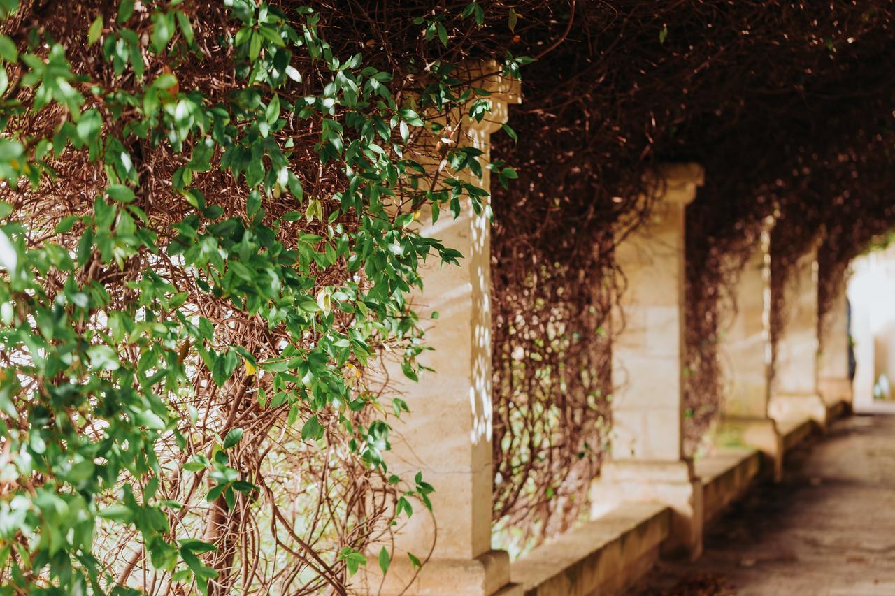 Masseria Ancella * Montalbano (Apulia)